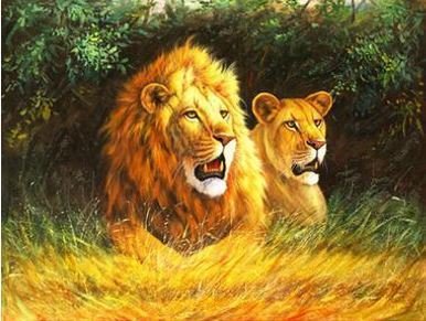 Leijonat